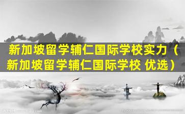新加坡留学辅仁国际学校实力（新加坡留学辅仁国际学校 优选）